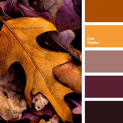 Créez de belles palettes de couleurs pour vos tenues, inspirées de la Nature par exemple !